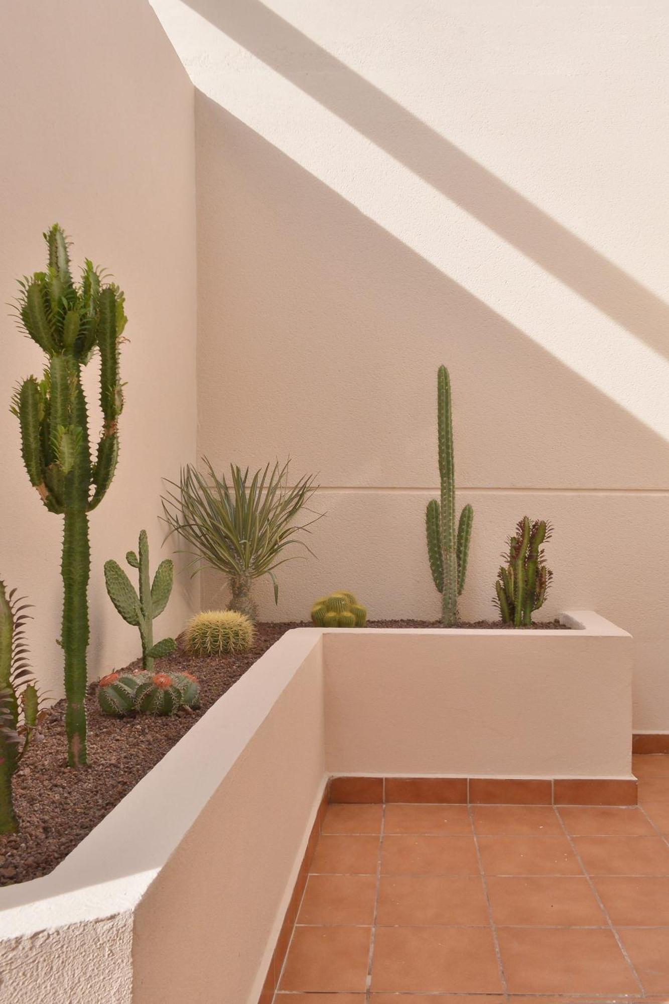 Casa Mareterra - Design Villa With Pool And Terrace Near Corralejo And Lajares Exteriör bild
